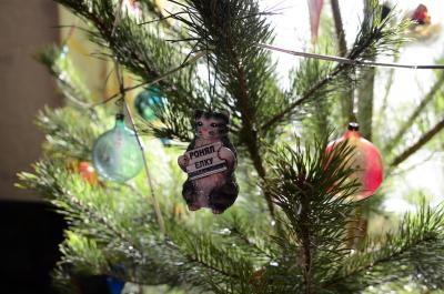 Прикрепленное изображение: DSC_1029_.JPG